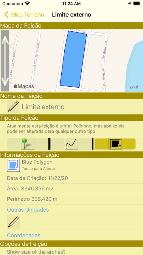 Detalhes da feição com área e perímetro