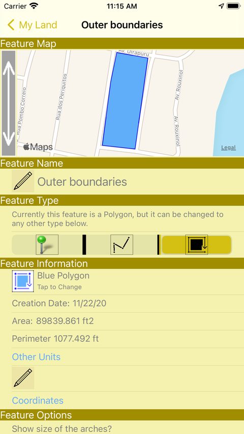 Feature details with area and perimeter